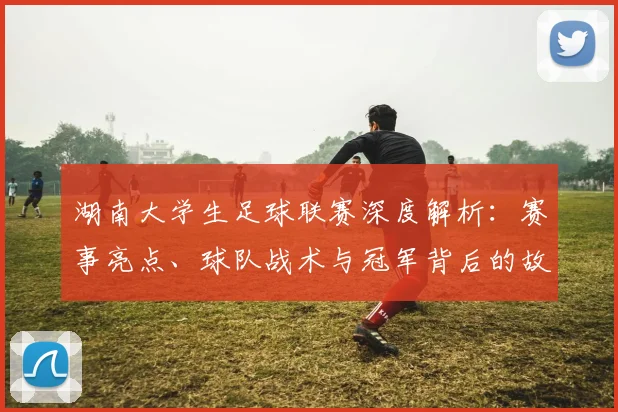 湖南大学生足球联赛深度解析:赛事亮点、球队战术与冠军背后的故事