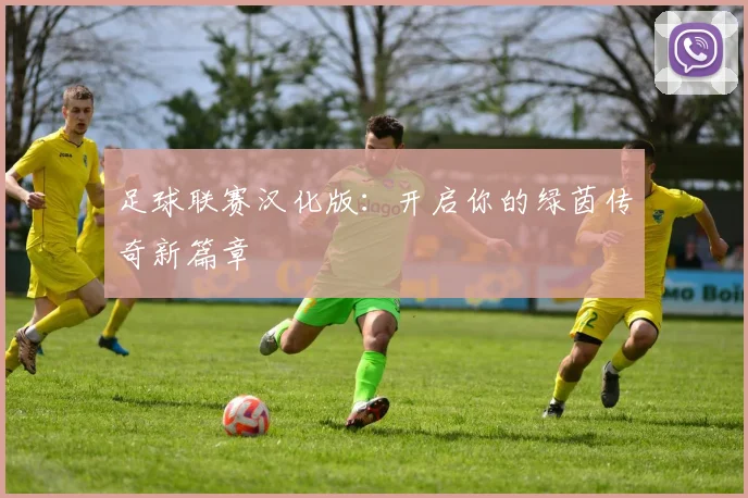 足球联赛汉化版:开启你的绿茵传奇新篇章