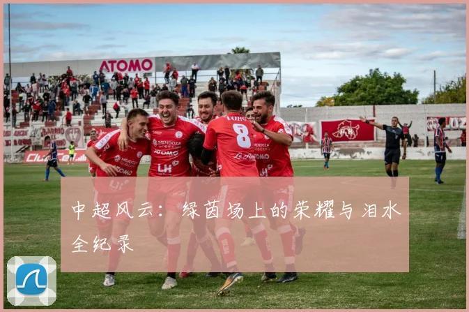 中超风云:绿茵场上的荣耀与泪水全纪录